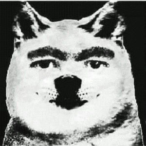 Meet your Posher, Bee